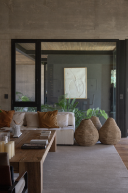 JUGO™ Creative Studio & Management Agency